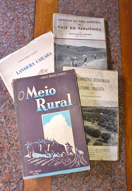 CARLOS BORGES SCHMIDT – UM CASO DE AMOR